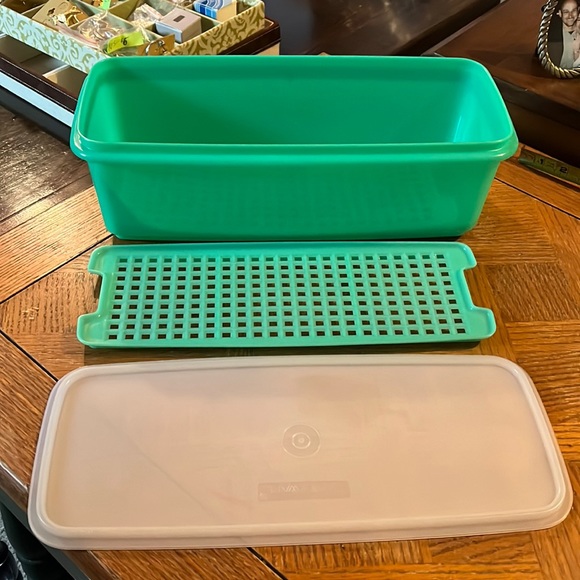 Tupperware Kitchen Vintage Tupperware Celery Keeper Poshmark
